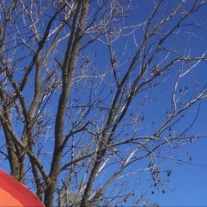 Meet your Posher, Kells